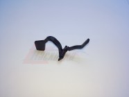 Флажок выхода бумаги из печки SAMSUNG ML-1510/1710/1750/1520, SCX-4016/4216/4100/4200/4300, SF-56х, XEROX Phaser 3130/3120/3115, WC 3119 РE16/РE114e [JC72-00987A] [13210]