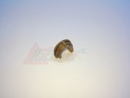 Подшипник резинового вала HP LJ 1010/1012/1015/3015, CANON LBP2900/3000 [RC1-2079] [14597]