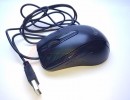 Мышь Gembird MUSOPTI8-800U черный, USB, 800dpi [25409]