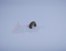 Подшипник резинового вала HP LJ 1010/1012/1015/3015, CANON LBP2900/3000 [RC1-2079] (Совместимый) [25474]
