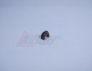 Подшипник резинового вала (бушинг) HP LJ P1505/M1522/M1120/Pro P1566/P1606/MF4410/4430/4450/4550/4570/4580 [RC2-1471] (Oригинал) подходит для НР4250/4350 [26188]